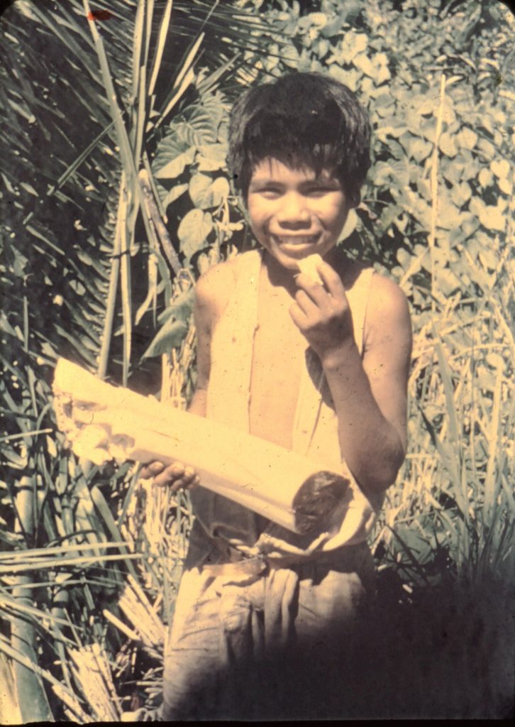 Ayoré child with a palm heart, good to eat raw or cooked.