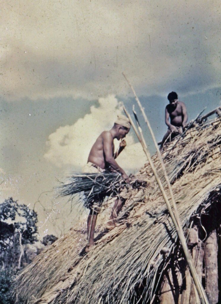 Ayoré men quickly learned the art of roofing a house with palm leaves.