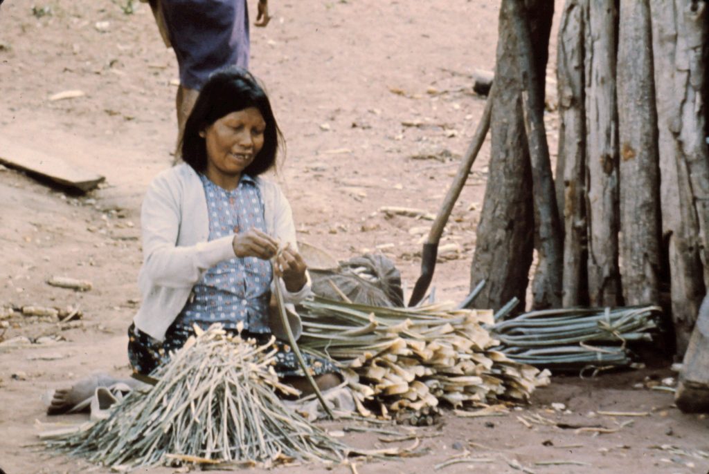 Ayoré woman preparing to dry 'garabatá leaves' to make fiber for spinning thread for weavings.