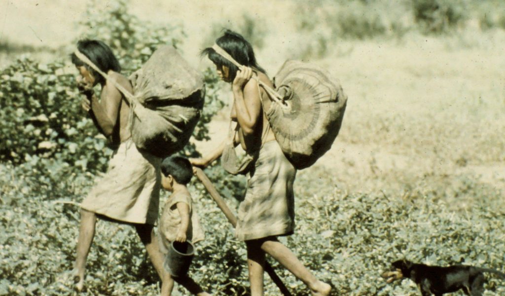 Ayoré women carry round bags full of whatever they have gathered and head back home.