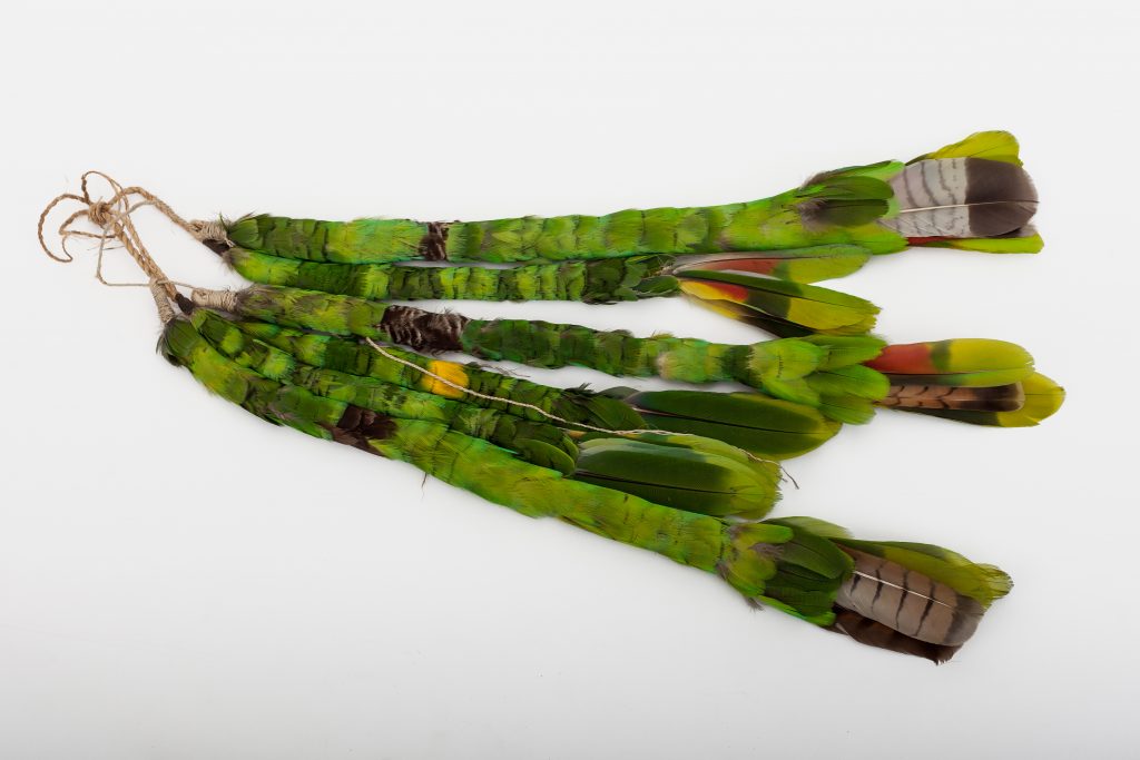 Parrot feathers, woven to look like a tail worn by men.