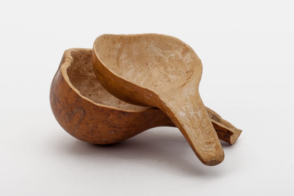 Gourd cut in half used as a bowl or dipper.